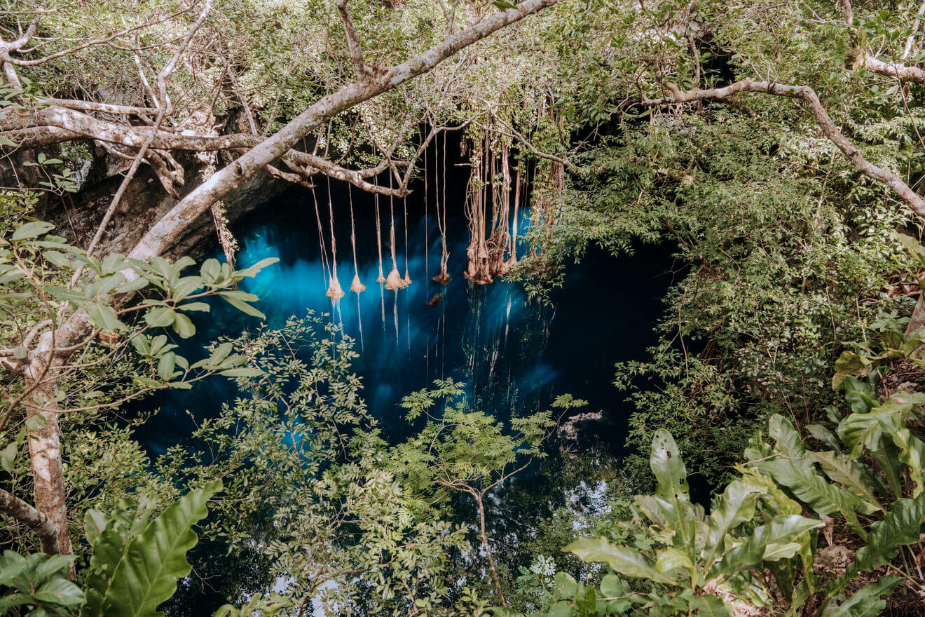 Découvrez votre propre paradis privé
