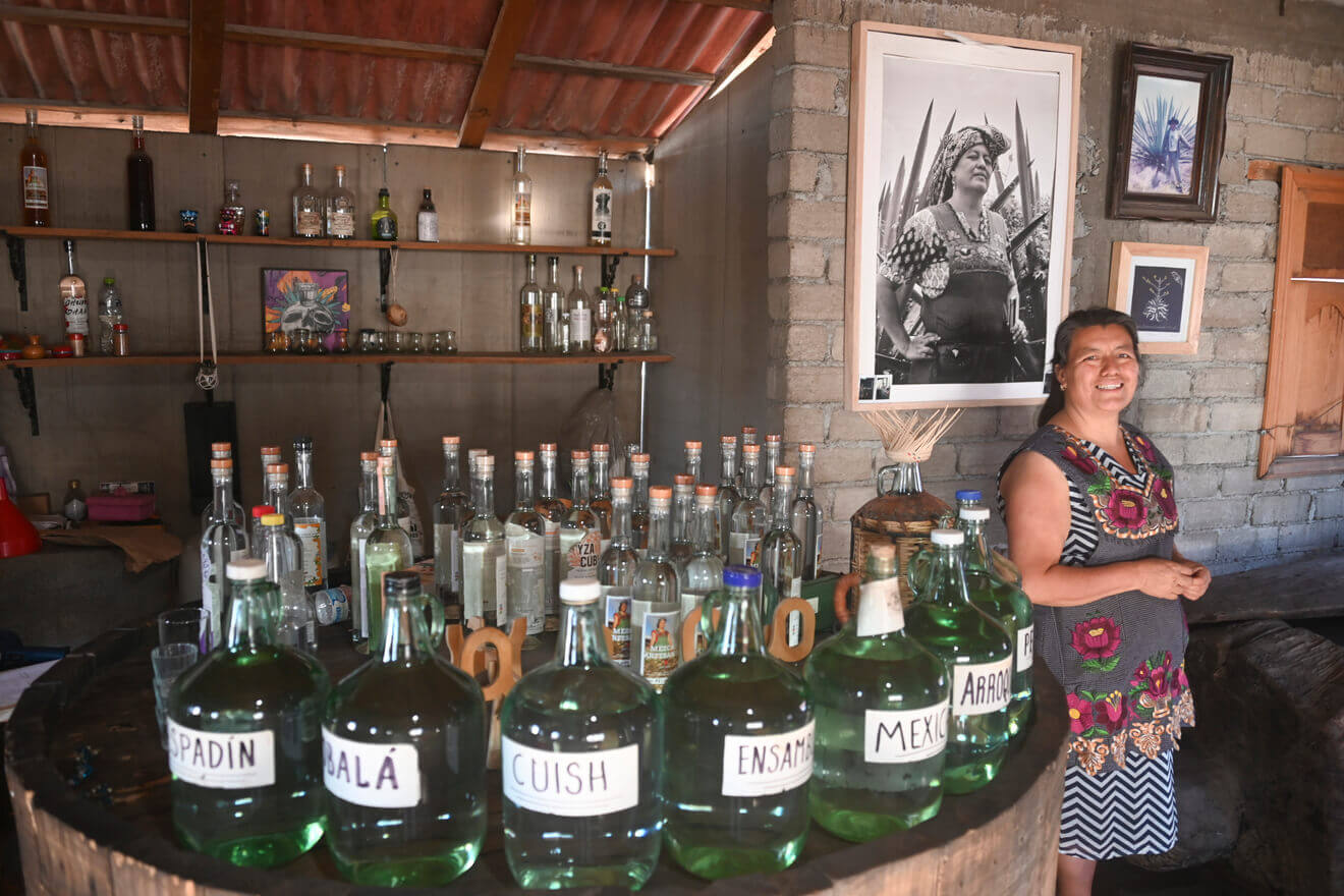 Dégustation de mezcal image 10