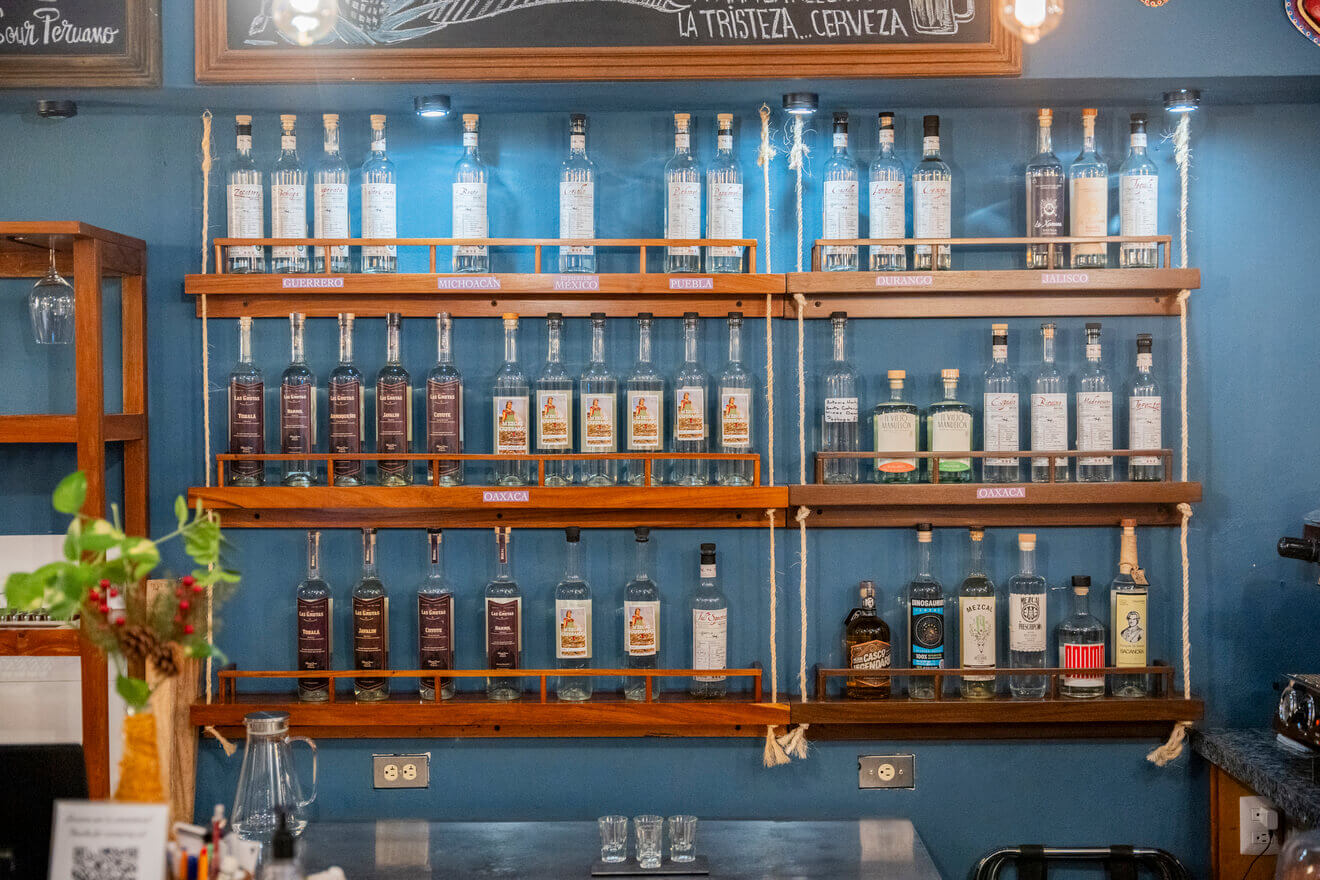 Dégustation de mezcal